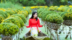 LÀNG HOA SA ĐÉC-VƯỜN QUÝT HỒNG LAI VUNG 1 NGÀY