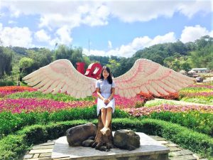 TOUR ĐÀ LẠT SĂN MÂY 2023 - 3 NGÀY 3 ĐÊM