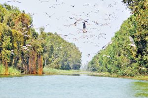 U MINH HẠ - ĐẤT MŨI CÀ MAU 3N2Đ